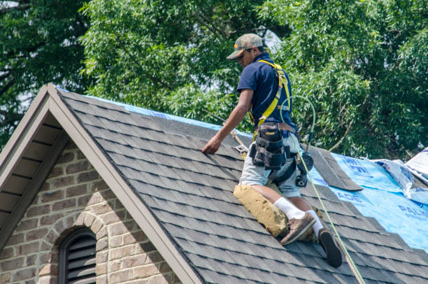 Best Roof Gutter Cleaning  in Prospect Park, NJ